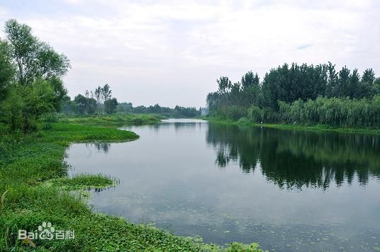 代桥湿地公园焕新篇章，美好时光与你同行