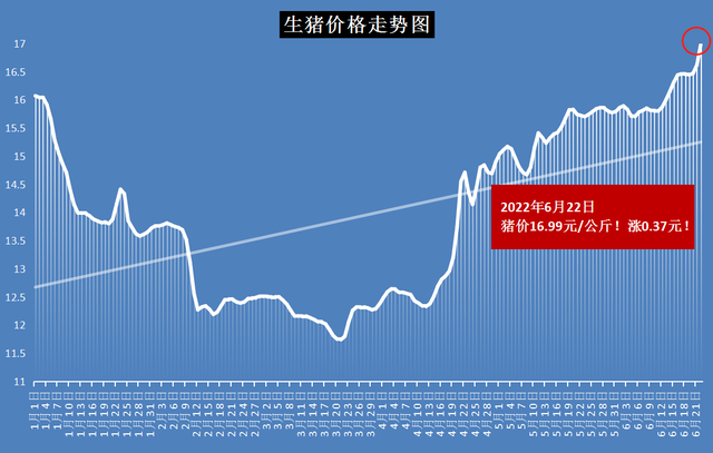 全国猪价节节攀升，今日行情喜人展望