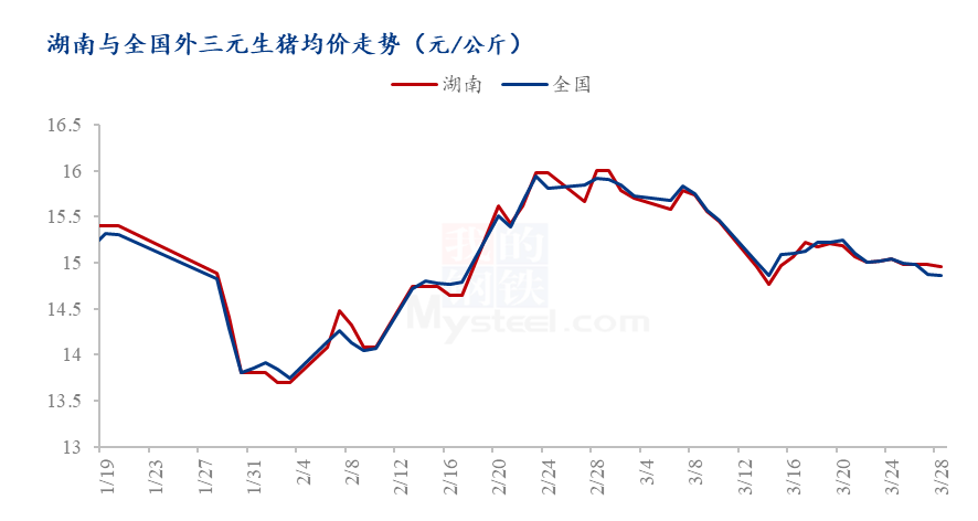 湖南猪市行情稳步上涨，喜看生猪市场新局面