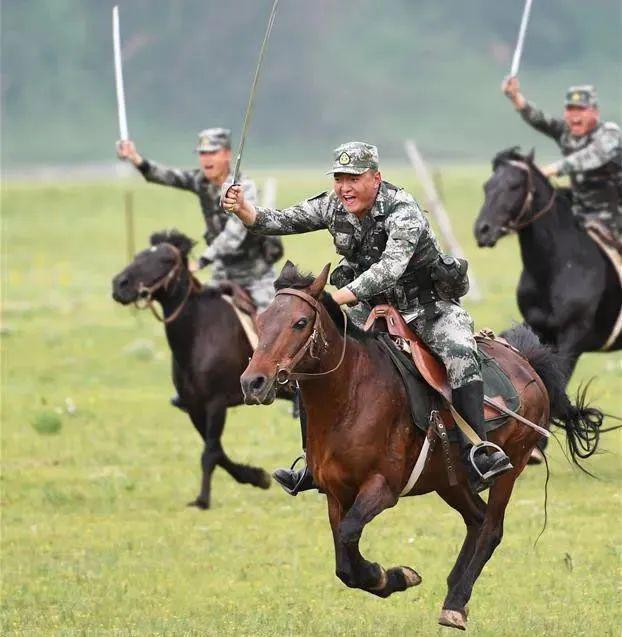 最新骑兵专区在线体验