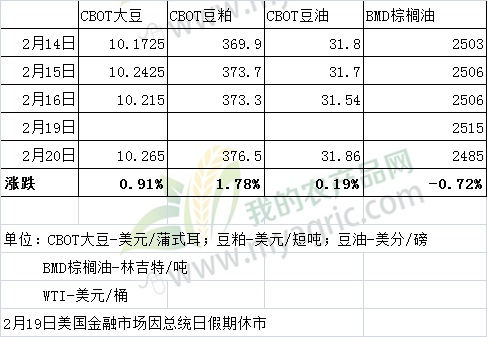 最新大豆市场动态