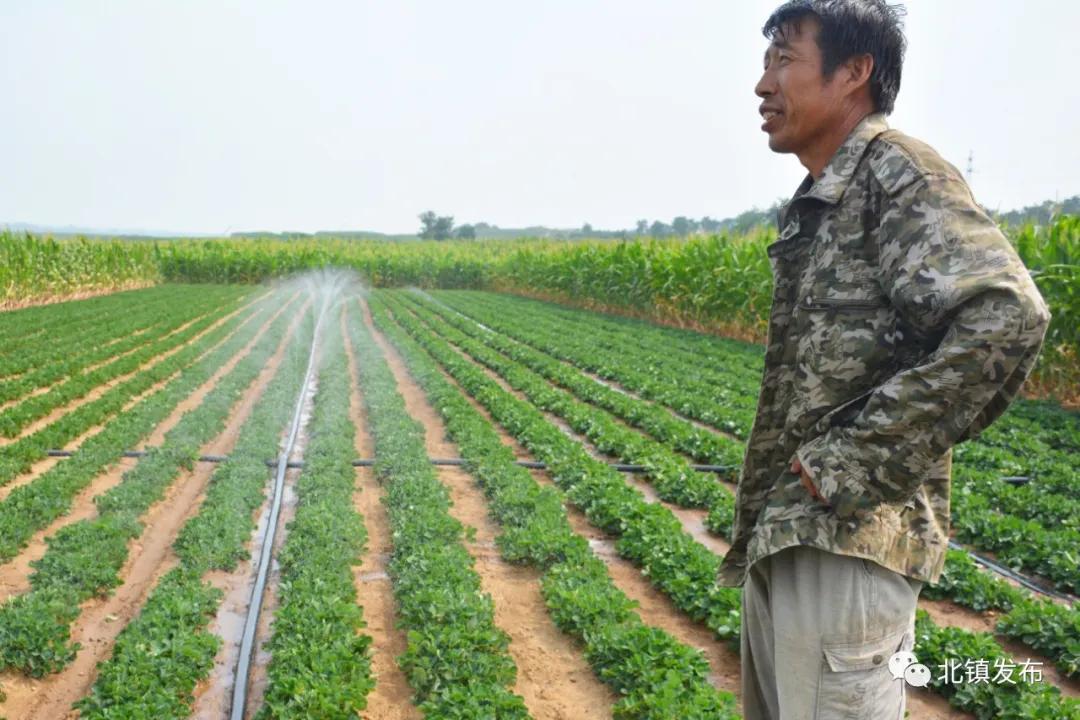 锦州近期气象预报速览