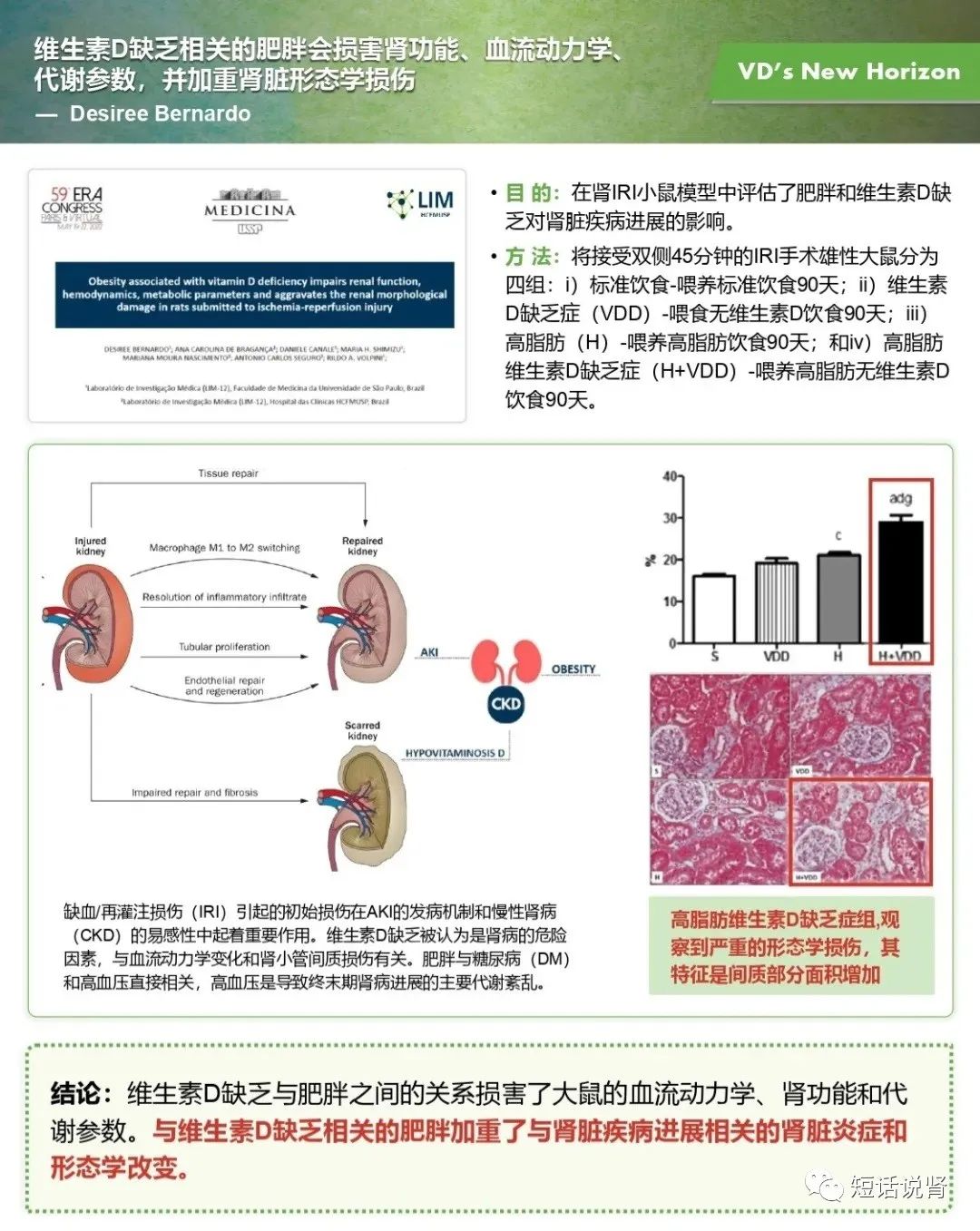 肾脏再生研究最新进展