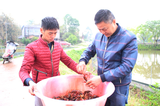 隆昌市夏小龙先生最新动态揭晓！